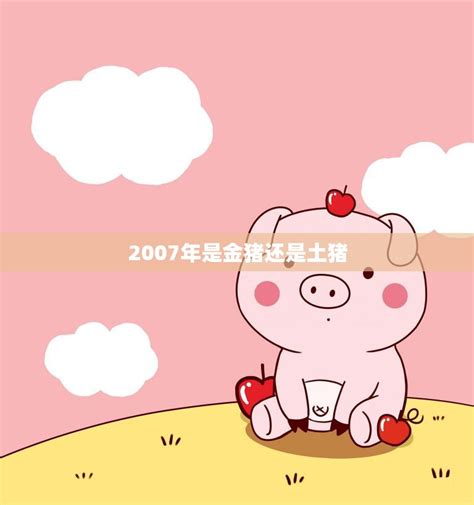 2007年是什么猪|2007年属猪是什么命 2007年属猪的是什么命